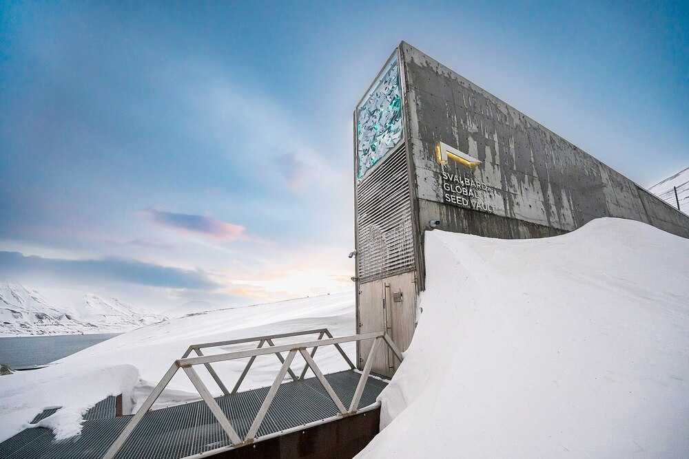 The Global Seed Vault near Longyearbyen, Svalbard, is the world’s largest secure seed storage. The Norwegian government established the vault in 2008 to protect against catastrophic loss of the world’s crop diversity, and Svalbard’s cold climate and permafrost made it an ideal location. The underground vault in Platåberget (“Plateau Mountain”) holds seeds from 123 gene banks in 85 countries, and depositors retain ownership of the seeds.