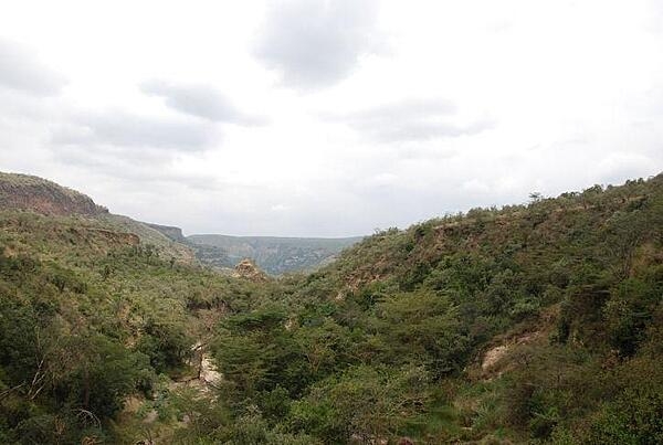 A view from inside the Rift Valley. Portions of the Rift Valley have proven to be a rich source of fossils that have enhanced the study of human evolution.