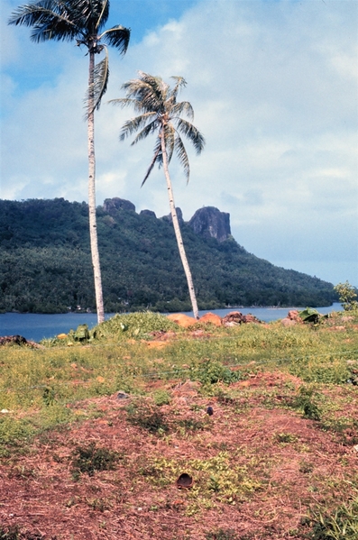 Lava cliffs on Pohnpei. The island, the most populous in the Federated States of Micronesia, is home to the megaliths and ruined city of Nan Madol. Photo courtesy of NOAA / James P. McVey.