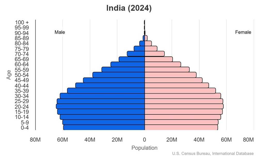 This is the population pyramid for India. A population pyramid illustrates the age and sex structure of a country's population and may provide insights about political and social stability, as well as economic development. The population is distributed along the horizontal axis, with males shown on the left and females on the right. The male and female populations are broken down into 5-year age groups represented as horizontal bars along the vertical axis, with the youngest age groups at the bottom and the oldest at the top. The shape of the population pyramid gradually evolves over time based on fertility, mortality, and international migration trends. <br/><br/>For additional information, please see the entry for Population pyramid on the Definitions and Notes page.
