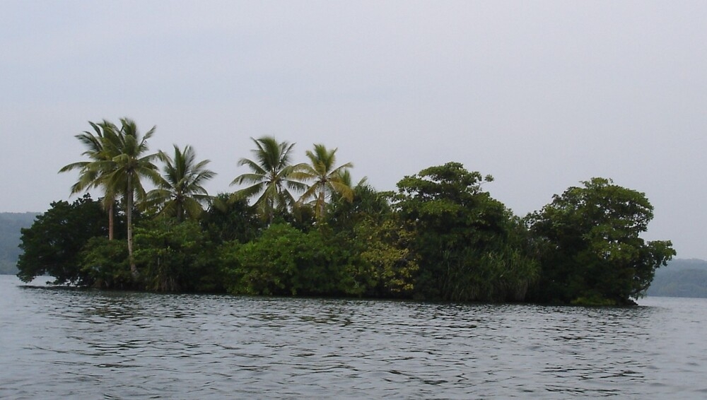 The Solomon Islands are located in the South Pacific Ocean, and the group’s East Rennell Island (pictured) in the southernmost part is one of the world’s largest raised coral atolls. The island measures 86 km long (53 mi) and 15 km (9.3 mi) wide and is covered with dense forest. The island’s Lake Tegano, formerly a lagoon, is the largest lake in the region at 15,500 hectares (60 sq mi). The many limestone islets on the lake’s brackish waters contain numerous animals, insects, and plants that are unique to the island. East Rennell was designated a World Heritage site in 1998.