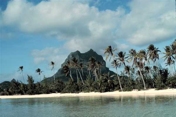 A view in Bora Bora, French Polynesia, showing palm trees and a volcanic plug with a white sandy beach in the foreground. Photo courtesy of NOAA / Anthony R. Picciolo.