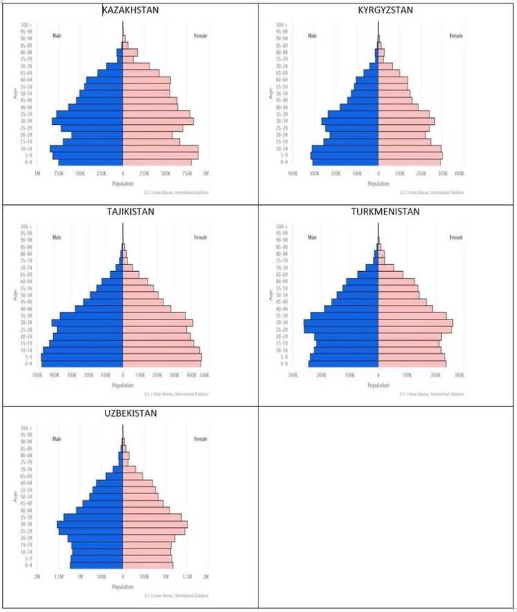 Population Pyramids by Region - The World Factbook