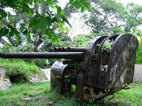 The remains of a Japanese anti-aircraft gun on Sohkes Mountain Ridge, overlooking the harbor on Pohnpei Island in Micronesia.  With an excellent harbor and two airfields, Pohnpei was heavily defended by the Japanese during World War II. Photo courtesy of NOAA / Lieutenant Commander Matthew Wingate.