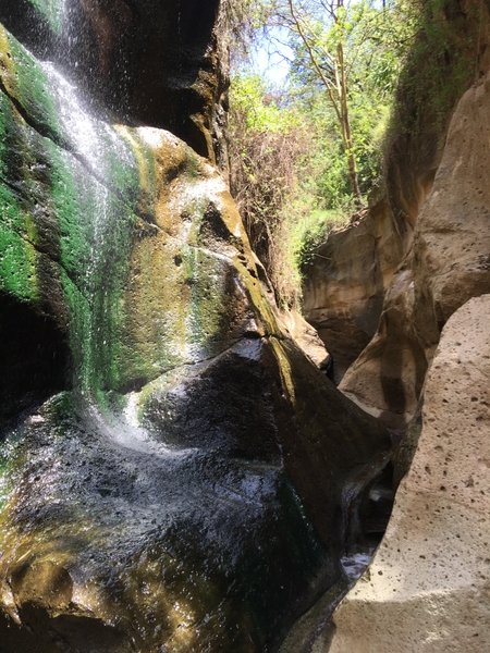 Known for its rugged landscape shaped by volcanic activity, Hell's Gate National Park is located not far from Kenya's capital, Nairobi.  Among the park's geological features are a water-eroded gorge and obsidian caves.