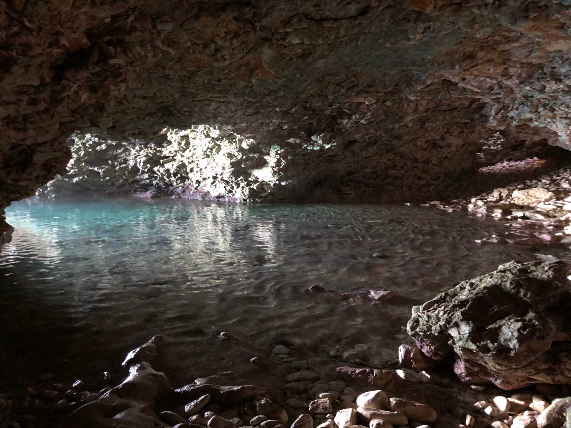 Flower Cave on the Barbados north coast is a hollowed-out limestone cave that is partially submerged during high tide. Tourists can visit at low tide.