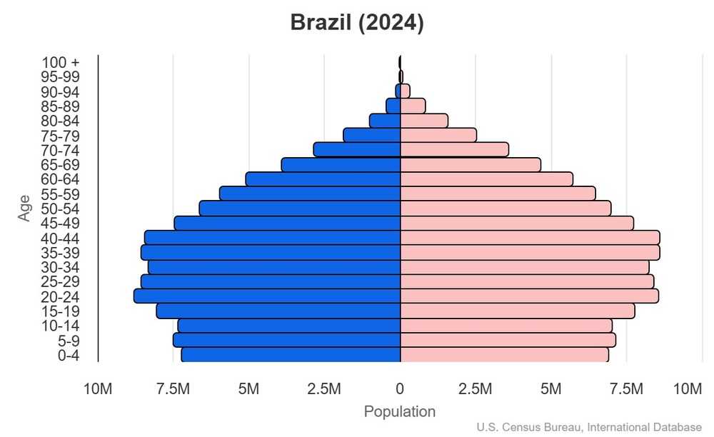 This is the population pyramid for Brazil. A population pyramid illustrates the age and sex structure of a country's population and may provide insights about political and social stability, as well as economic development. The population is distributed along the horizontal axis, with males shown on the left and females on the right. The male and female populations are broken down into 5-year age groups represented as horizontal bars along the vertical axis, with the youngest age groups at the bottom and the oldest at the top. The shape of the population pyramid gradually evolves over time based on fertility, mortality, and international migration trends. <br/><br/>For additional information, please see the entry for Population pyramid on the Definitions and Notes page.