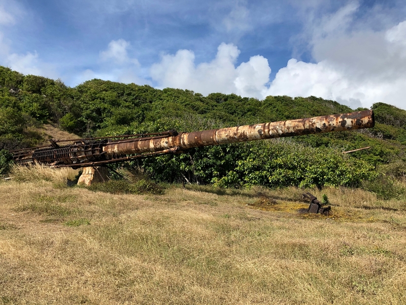 In the 1960s, engineers hypothesized that it would be possible to use ballistic launchers to shoot satellites into orbit. A test launcher was set up on the Barbados south coast.